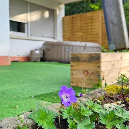 Le Grand Tetras - Col Du Donon Apartment Grandfontaine  Bagian luar foto